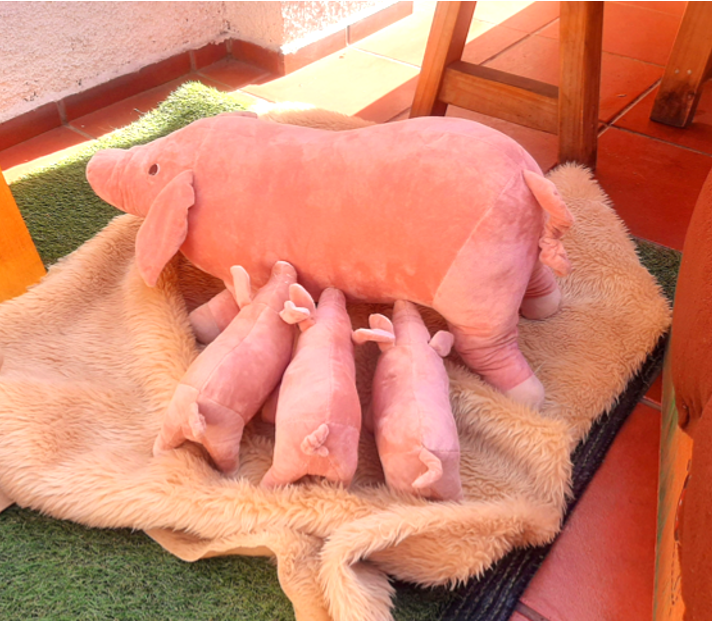 granja 3.png